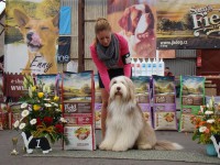 /album/mlada-boleslav/mlada-boleslav-2014-5-jpg/